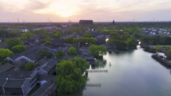 旅拍风景,配音,知识,树木,植物,全景