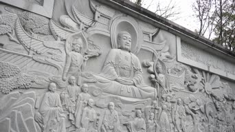 生活日常,口才,树木,全景