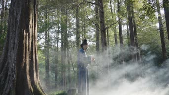 旅拍风景,美景,大自然,树木,植物,全景