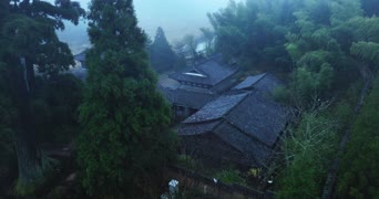 旅拍风景,美景,大自然,树木,植物,全景