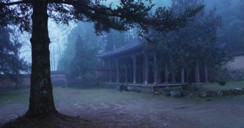 旅拍风景,配音,树木,植物,全景