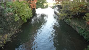 旅拍风景,美景,大自然,树木,植物,全景