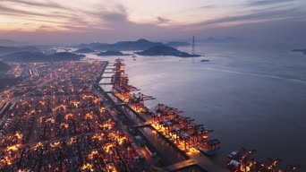 旅拍风景,配音,知识,树木,全景
