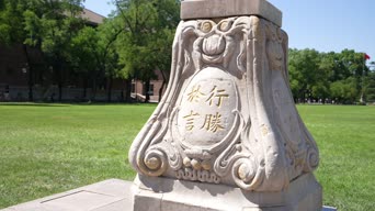 旅拍风景,美景,大自然,树木,植物,全景