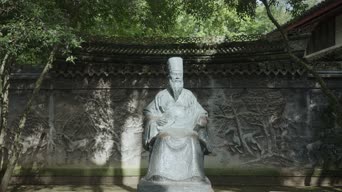 照片,美景,树木,植物,全景