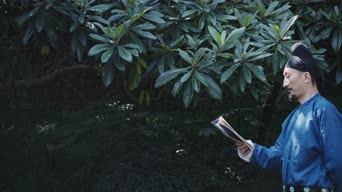配音,知识,衣服,树木,植物,阅读,全景