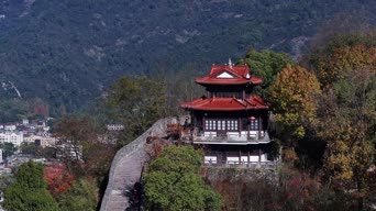 旅拍风景,配音,知识,树木,植物,全景