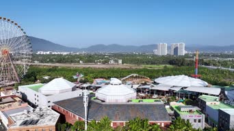 旅拍风景,配音,知识,树木,植物,全景