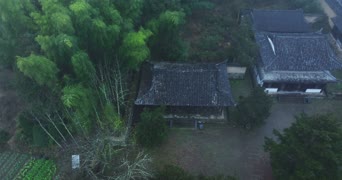 旅拍风景,美景,树木,植物,全景