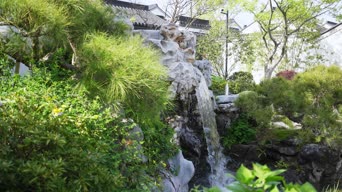 旅拍风景,配音,树木,植物,全景