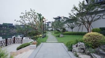 旅拍风景,美景,大自然,树木,植物,全景