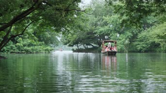 旅拍风景,美景,树木,植物,全景