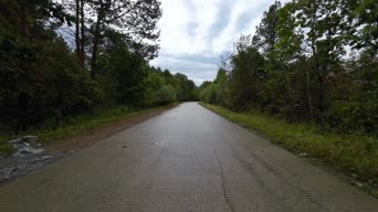 旅拍风景,配音,树木,山路,全景