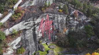 旅拍风景,美景,大自然,植物,树木,全景