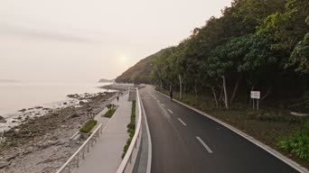 旅拍风景,大自然,美景,树木,植物,全景