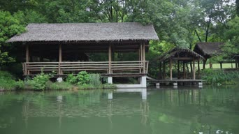 旅拍风景,美景,大自然,树木,植物,全景