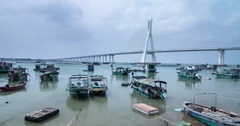 旅拍风景,无人机,港口,全景,苏通长江公路大桥