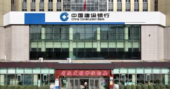 萌宠,美景,猫咪,高楼,城市,全景
