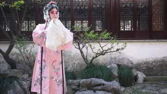 配音,知识,衣服,植物,树木,跳舞,全景