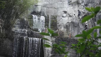 旅拍风景,配音,植物,树木,瀑布,全景