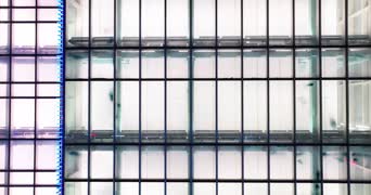 旅拍风景,配音,知识,高楼,城市,全景