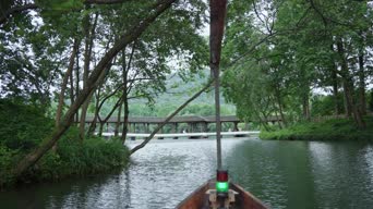 旅拍风景,配音,知识,树木,植物,全景