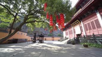 旅拍风景,配音,知识,树木,植物,全景