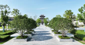 旅拍风景,记录,美景,大自然,旅拍,树木,植物,全景