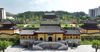 旅拍风景,配音,知识,树木,植物,全景