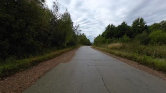 旅拍风景,大自然,旅拍,记录,树木,植物,山路,全景