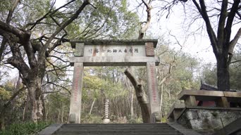 旅拍风景,美景,大自然,树木,植物,全景,西泠印社