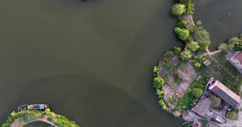 旅拍风景,配音,知识,植物,树木,全景