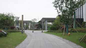 旅拍风景,配音,知识,树木,植物,全景