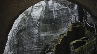 旅拍风景,画画,树木,石刻造像,全景