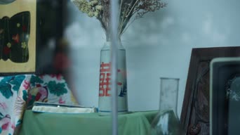 广告,游戏剧情,衣服,树木,全景
