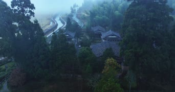 旅拍风景,配音,树木,植物,全景