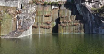 旅拍风景,配音,知识,树木,植物,全景
