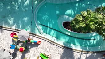旅拍风景,赏花,vlog,树木,植物,游泳池,全景