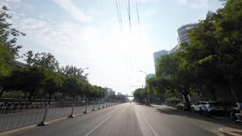 生活日常,美景,记录,树木,车,公共汽车,植物,高楼,街道,全景