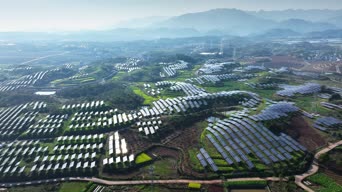 旅拍风景,美景,旅拍,大自然,树木,植物,全景