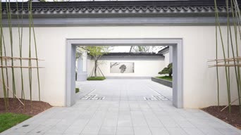 旅拍风景,配音,知识,植物,树木,全景