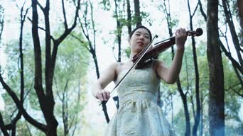 乐器演奏,配音,知识,树木,衣服,植物,金景,全景