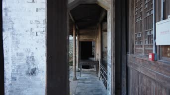 配音,知识,植物,树木,全景