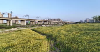 旅拍风景,配音,植物,树木,全景