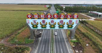 旅拍风景,配音,知识,植物,树木,全景