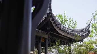 旅拍风景,美景,大自然,记录,树木,植物,全景
