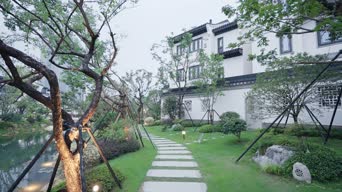 旅拍风景,配音,知识,树木,植物,全景