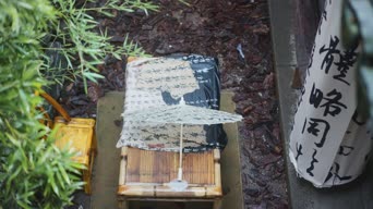 配音,植物,全景