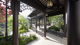 旅拍风景,美景,大自然,树木,植物,全景