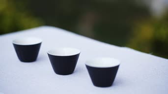 配音,全景